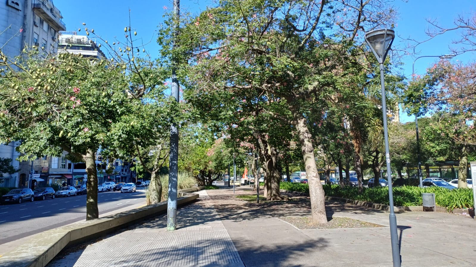 Cantero Central Provincia de Tucumán