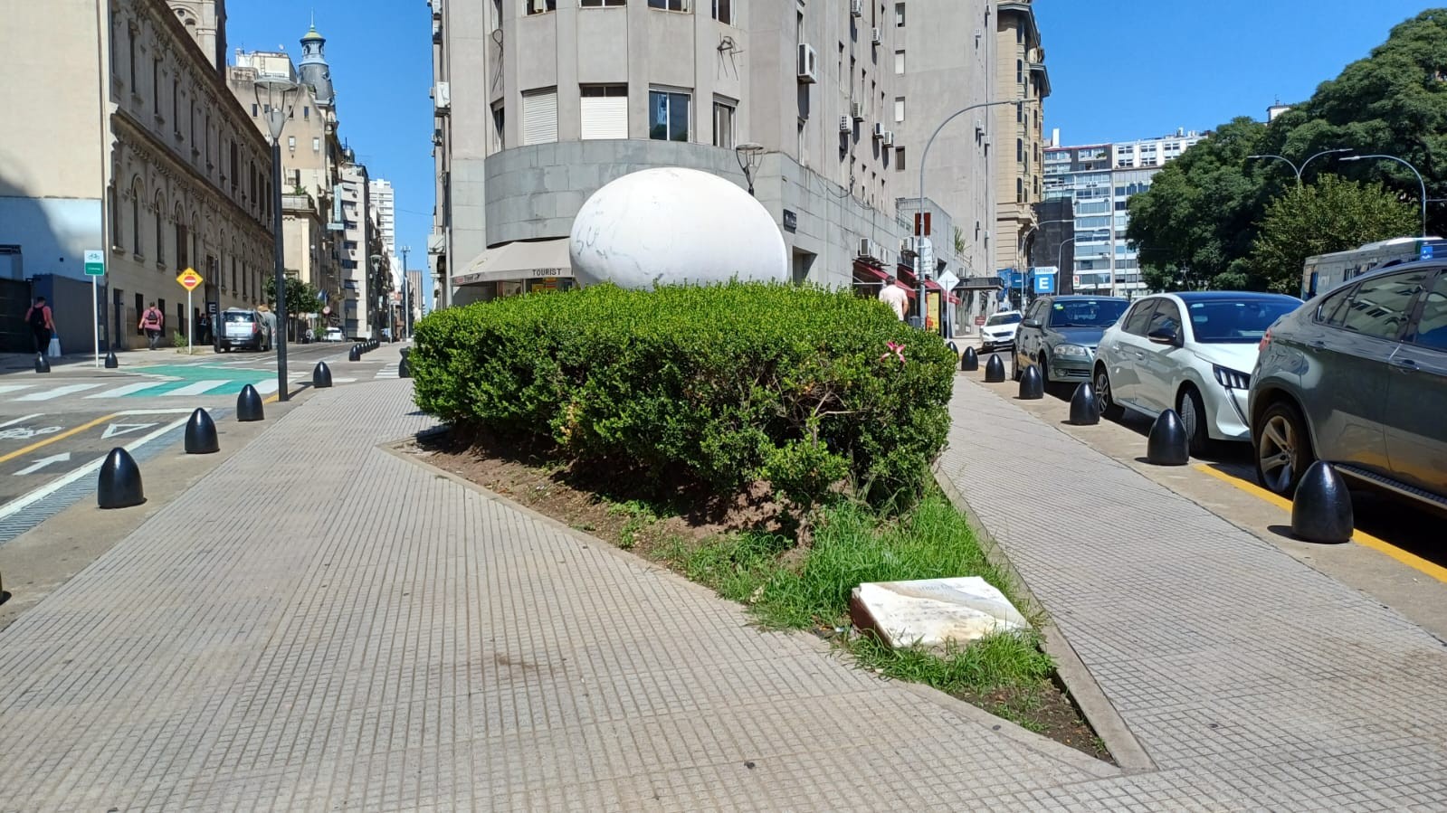 Imagen de galería 1