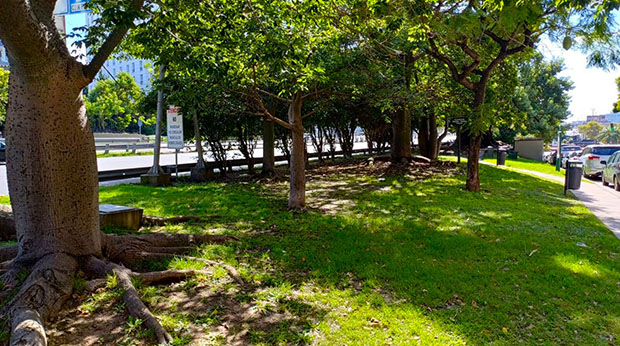 Plazoleta Cnel. Toribio Tedin