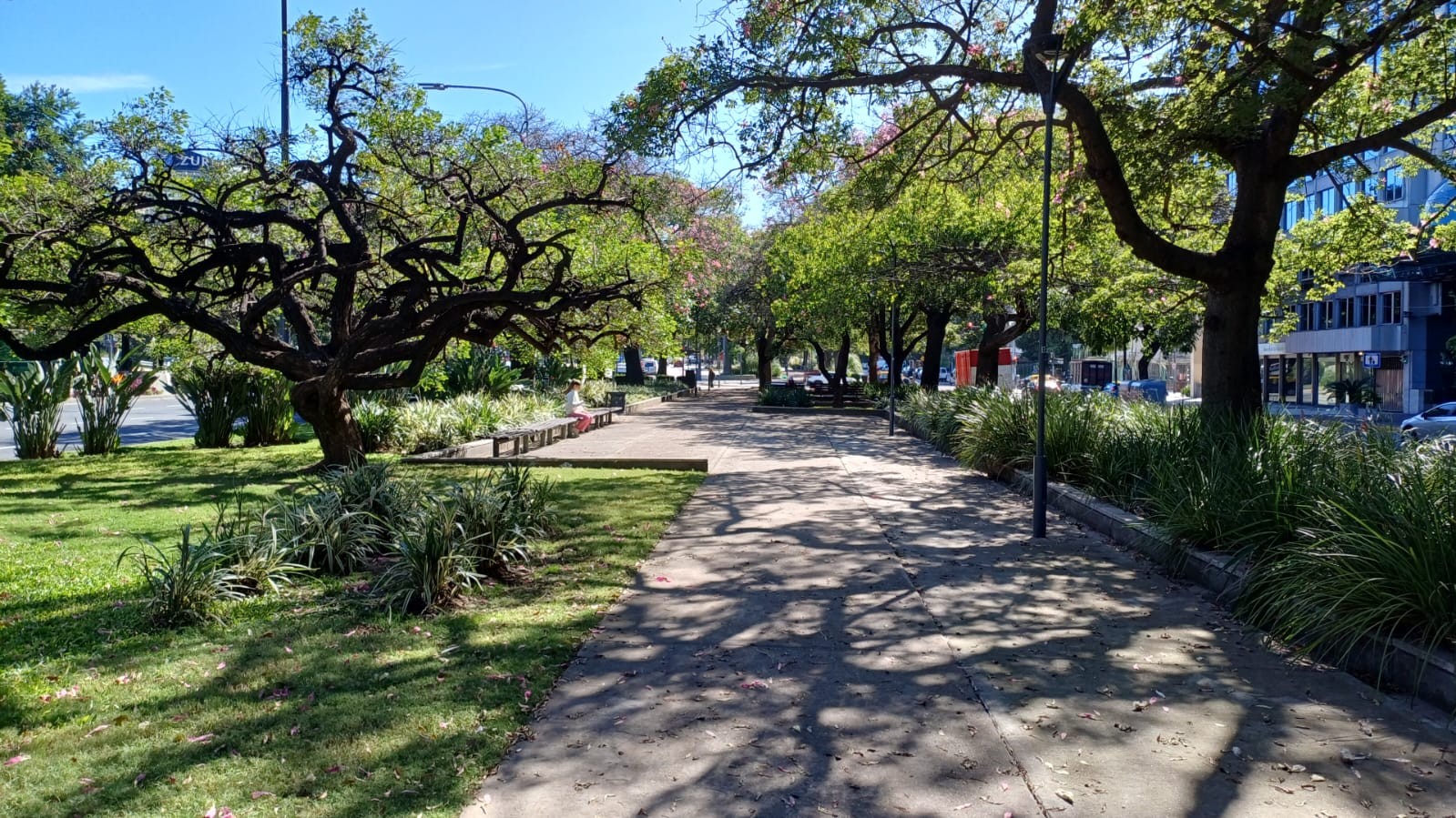 Cantero Central Provincia de Santa Fe