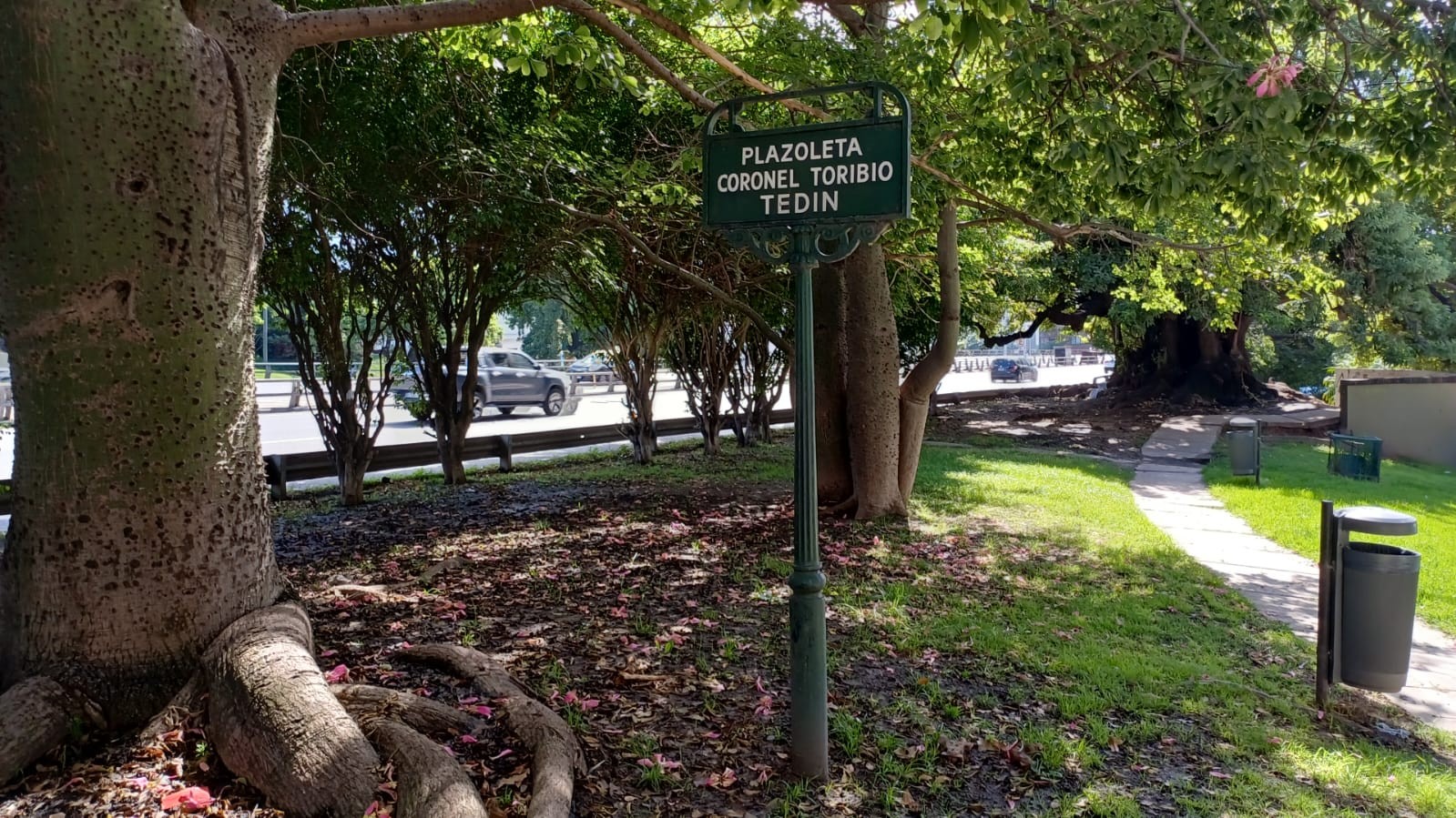 Plazoleta Cnel. Toribio Tedín