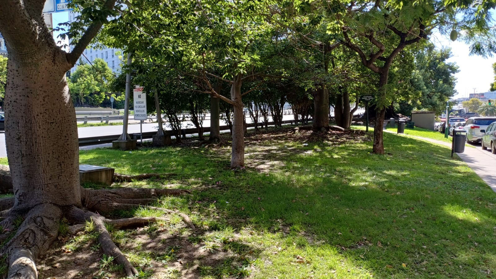 Plazoleta Cnel. Toribio Tedín