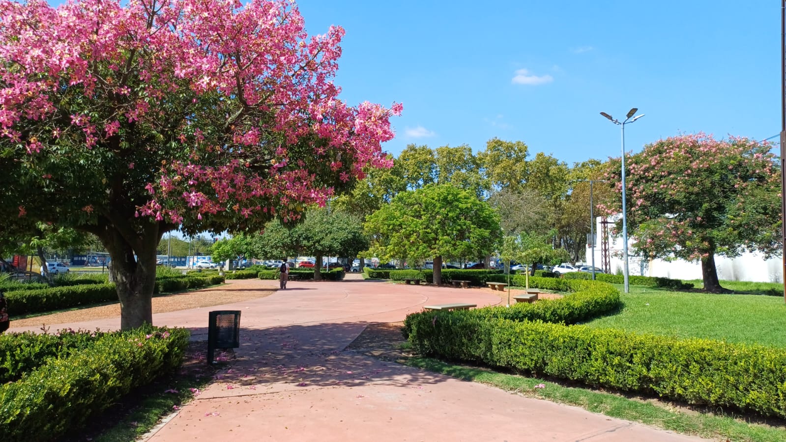 Plaza Salvador María del Carril