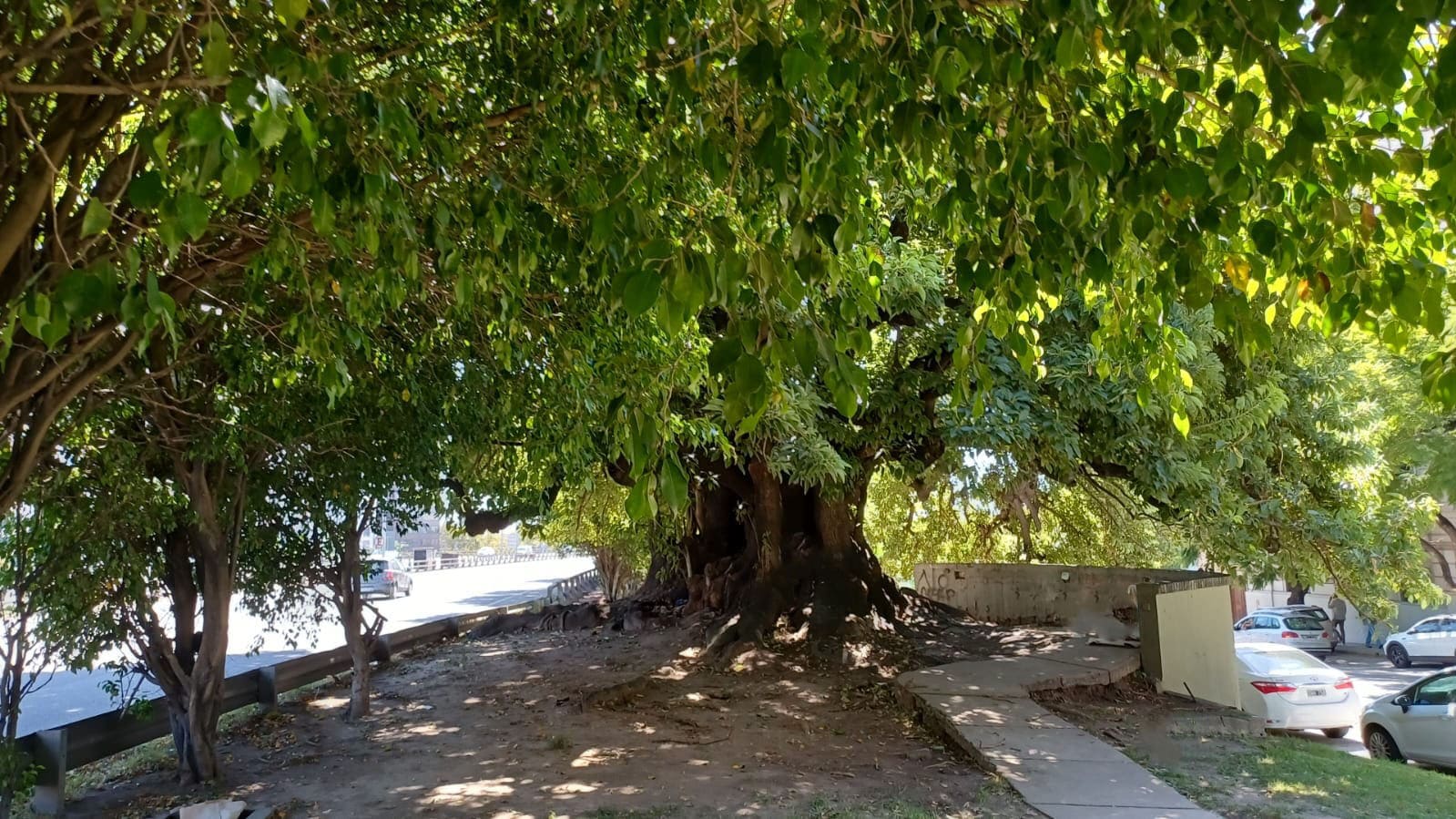 Ombú 3 - Vista Horizontal