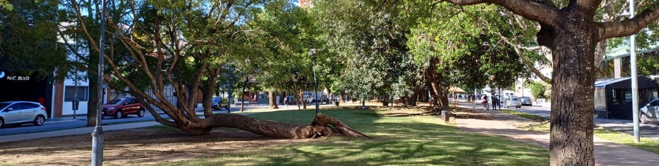 Espacios verdes en la Av. García del Río