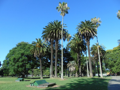 Parque General Paz