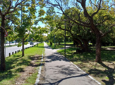 Plazas sin obras escultróricas