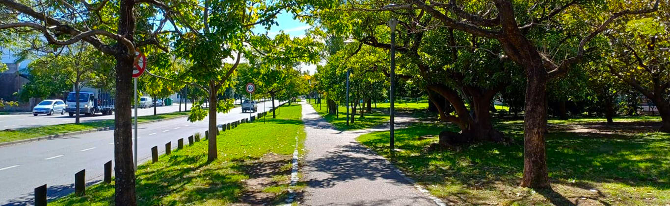 En la Av. Parque Roberto Goyeneche