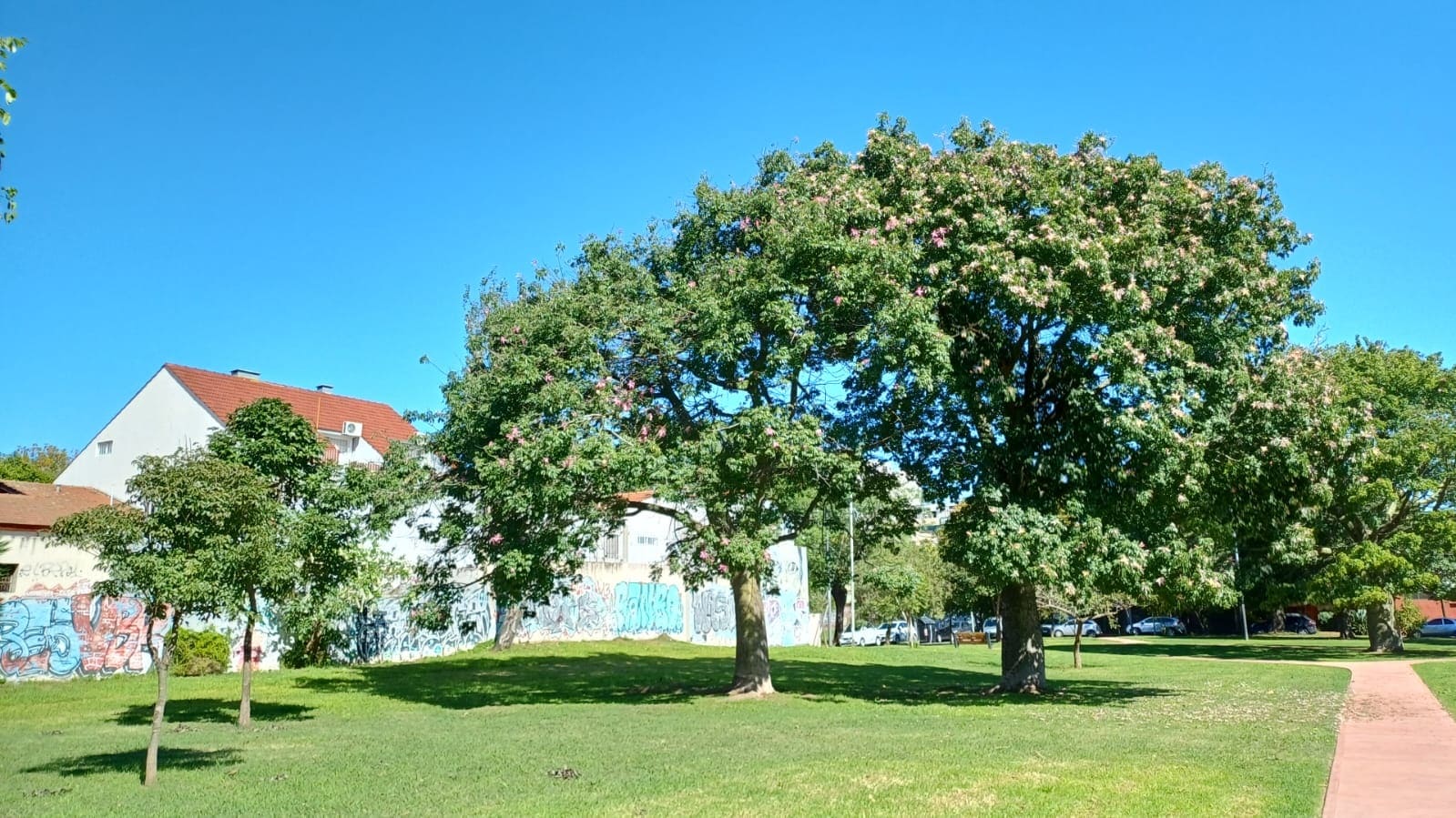 Plaza 1º de Marzo de 1948