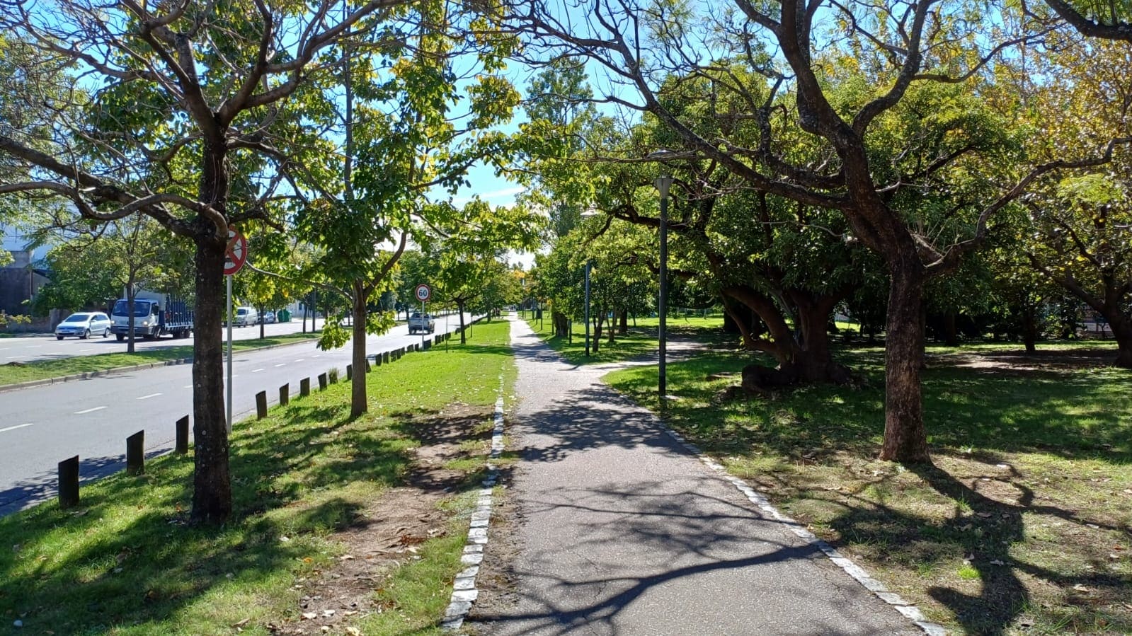 Plaza Naranjo en flor