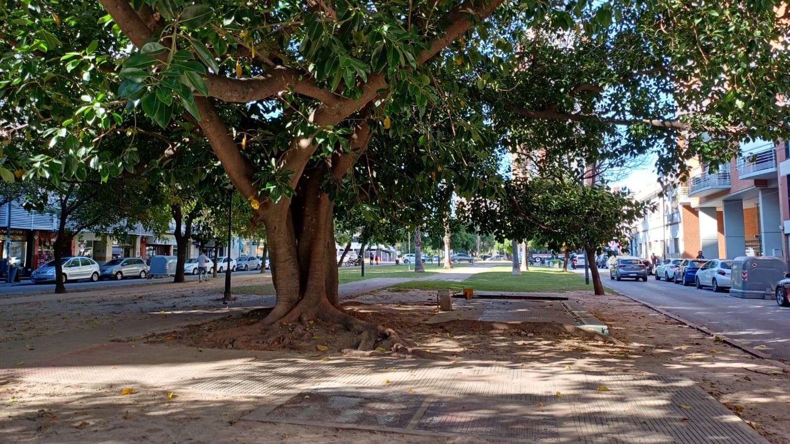 Cantero Central Enrique Sampay