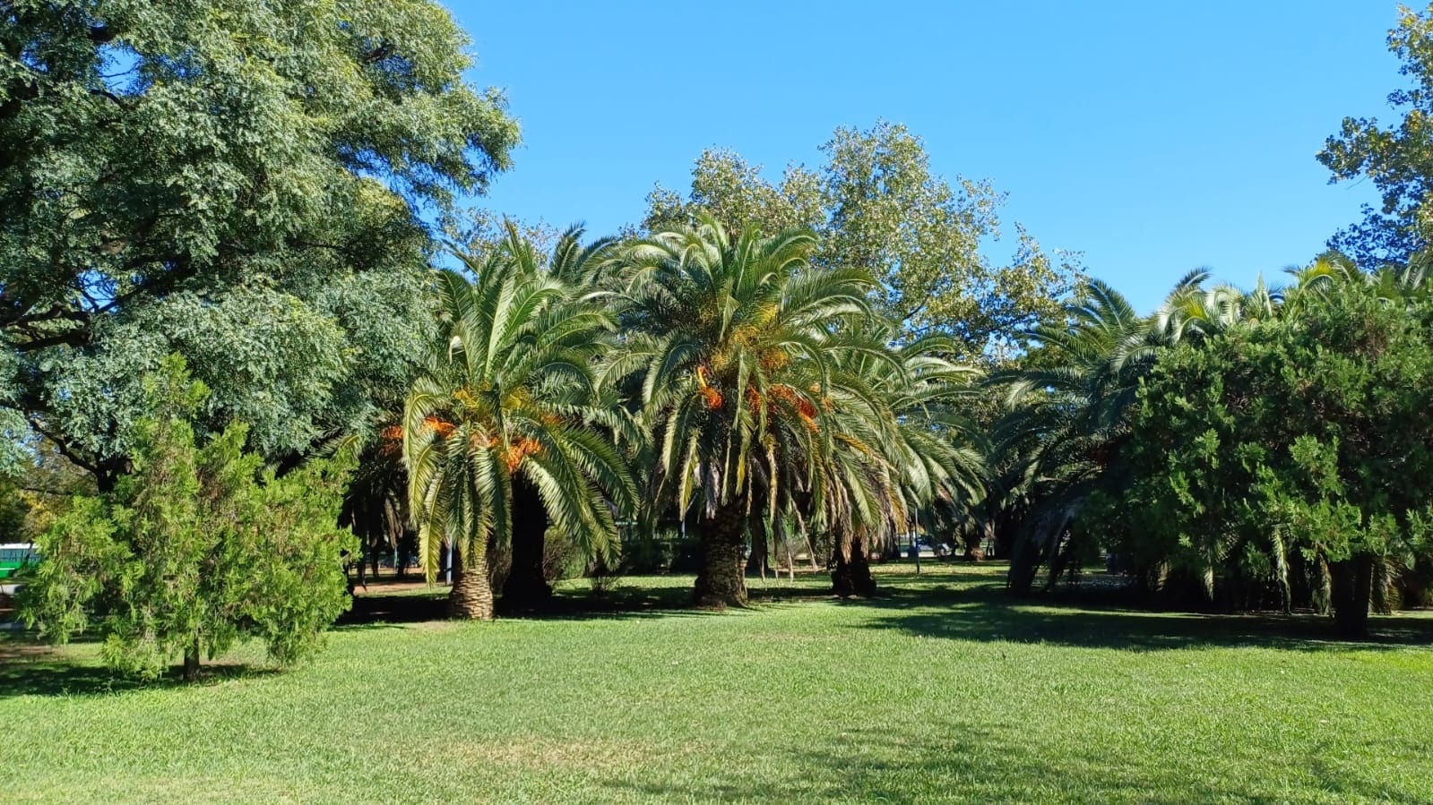 Parque Padre Mugica