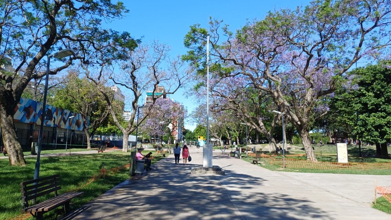 Imagen de galería 1