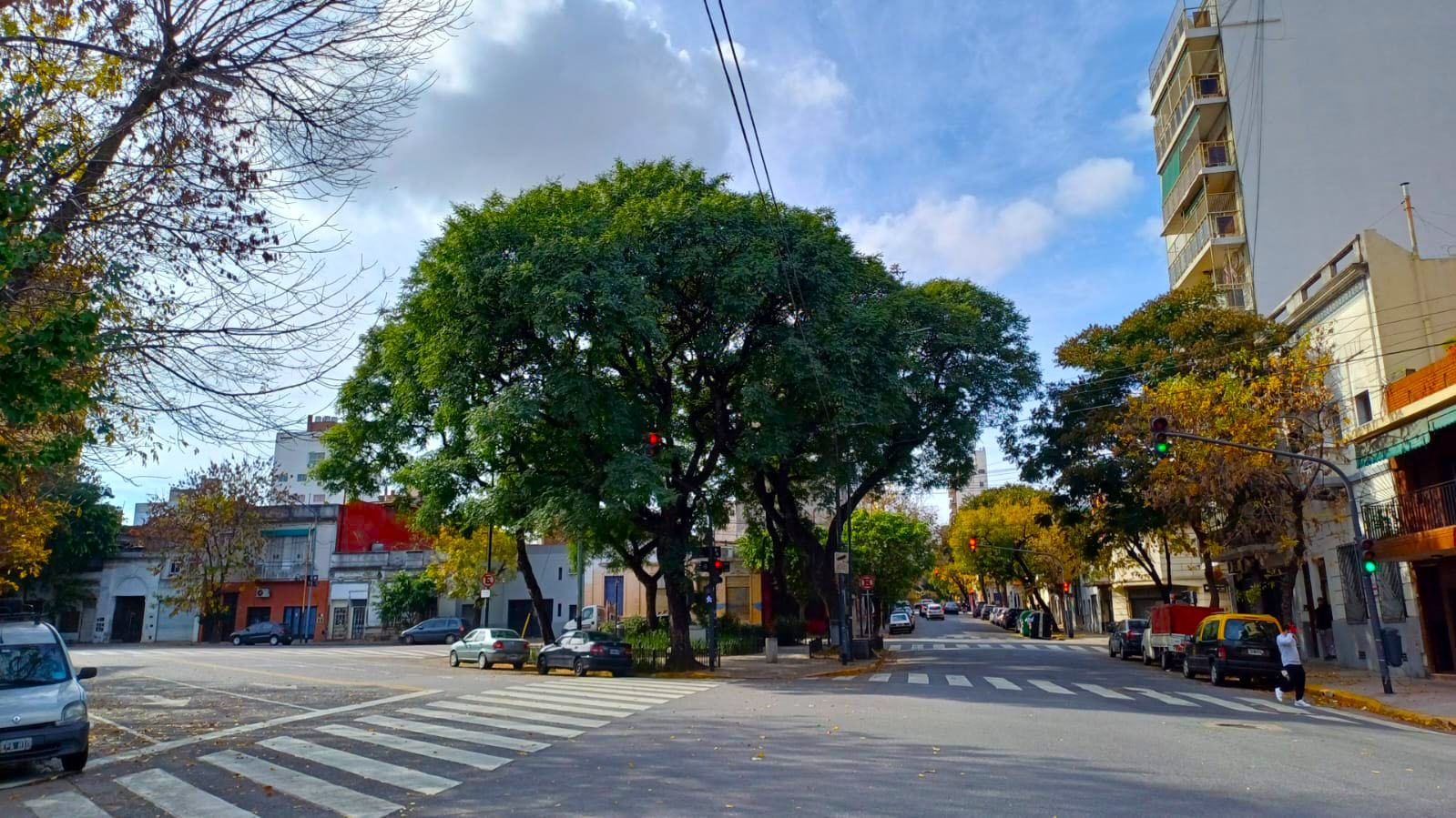 Imagen de galería 1