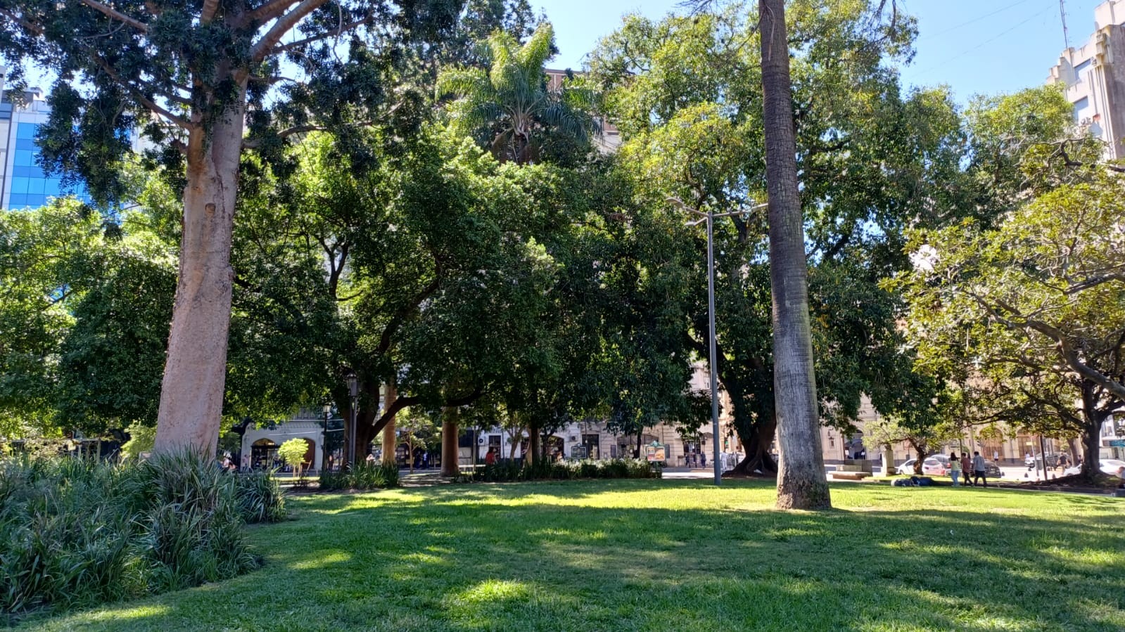 Imagen de galería 1