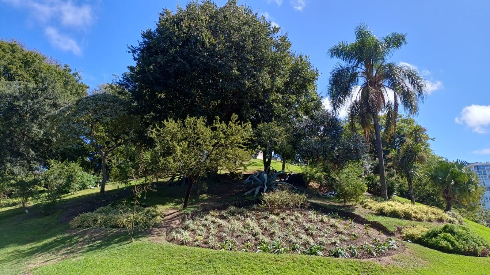 Parque Lezama