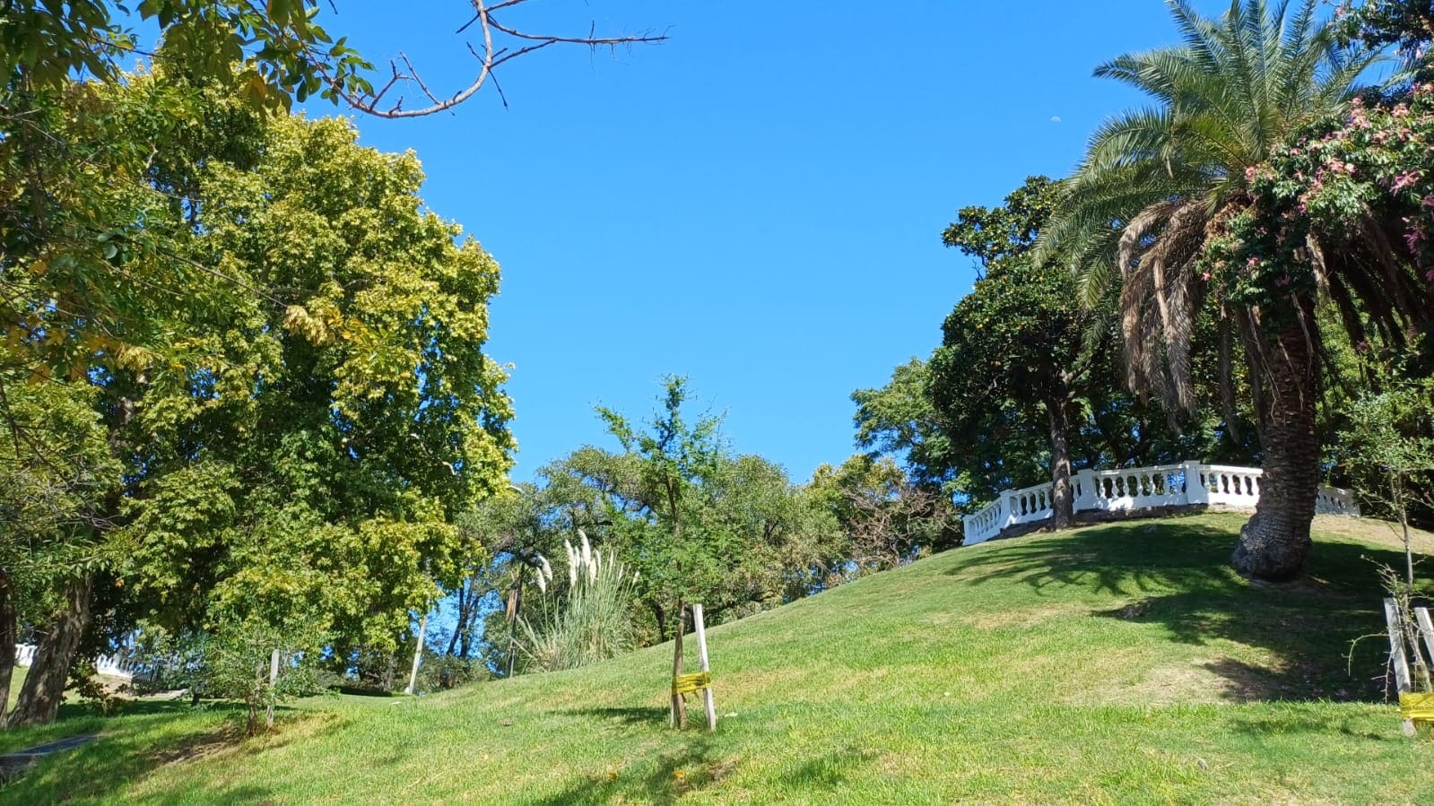 Parque Lezama