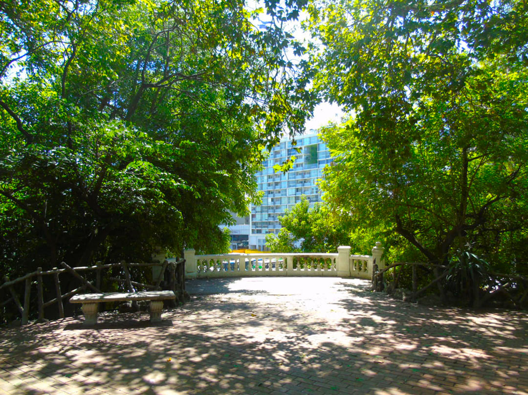 Imagen de galería 2