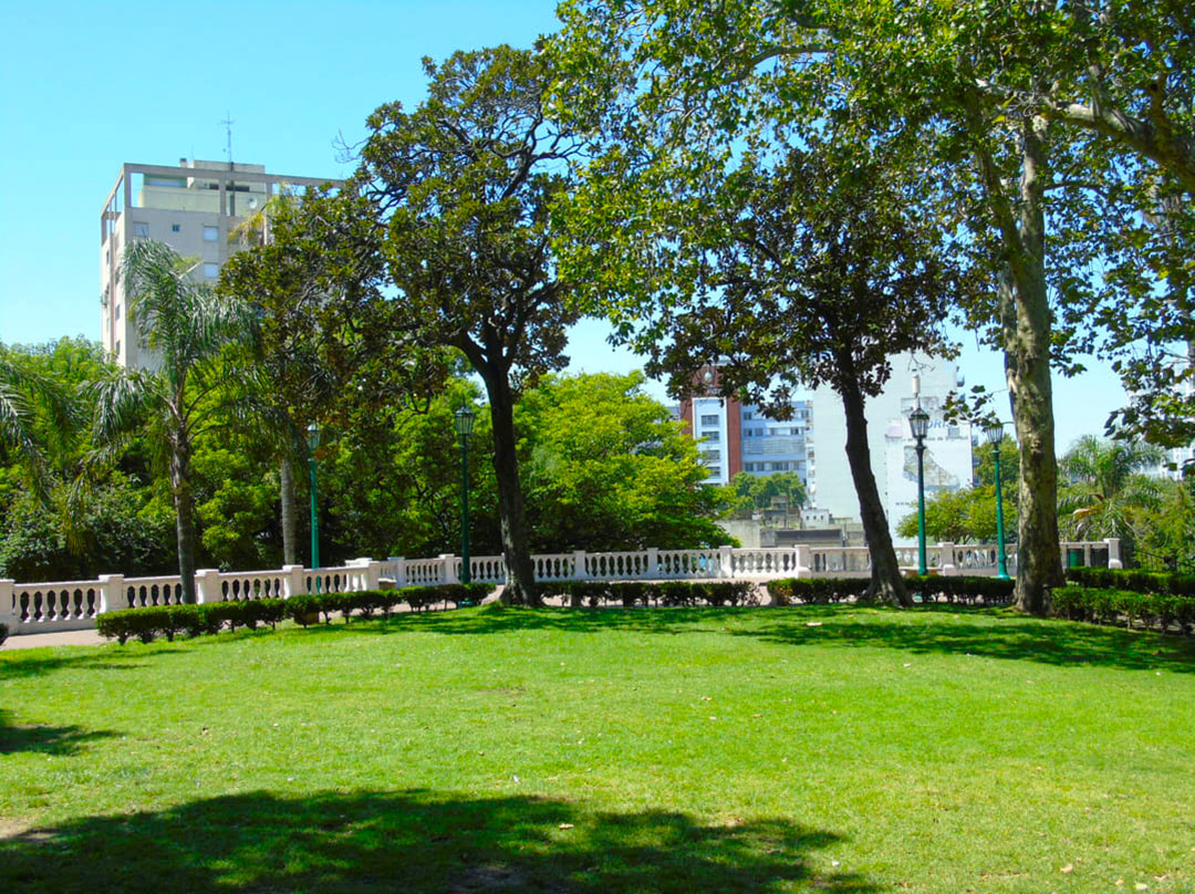 Imagen de galería 6