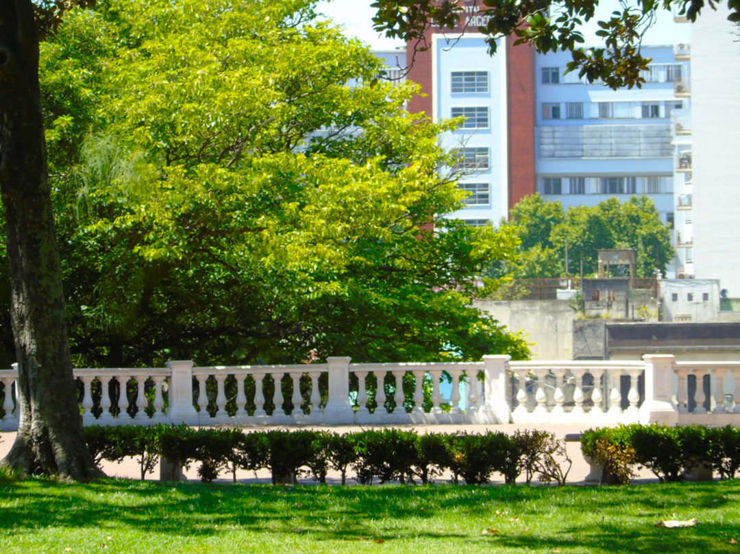 Imagen de galería 7