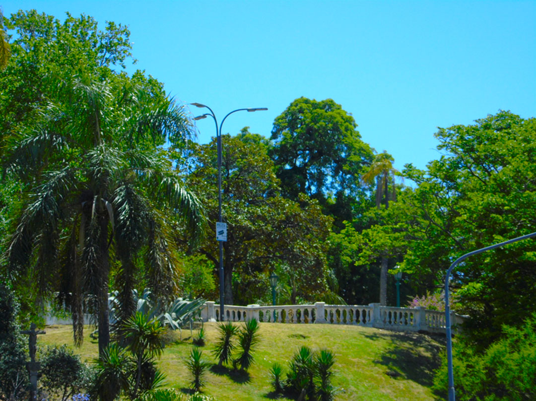 Imagen de galería 8