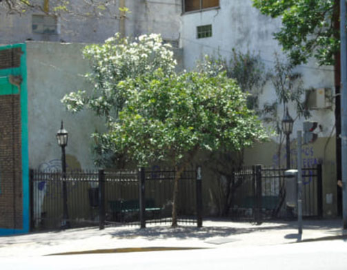 Plazoleta de San Telmo