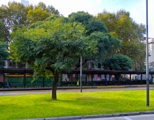 Cantero Central Francisco Pracánico