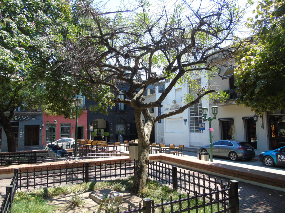 Plaza Coronel Dorrego