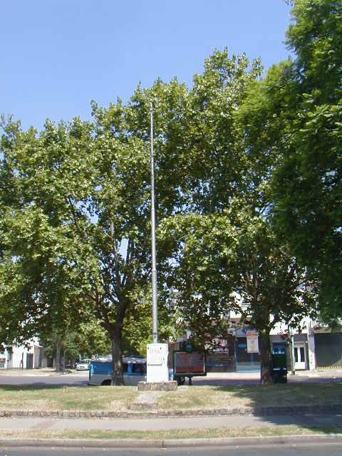 Homenaje a la Bandera