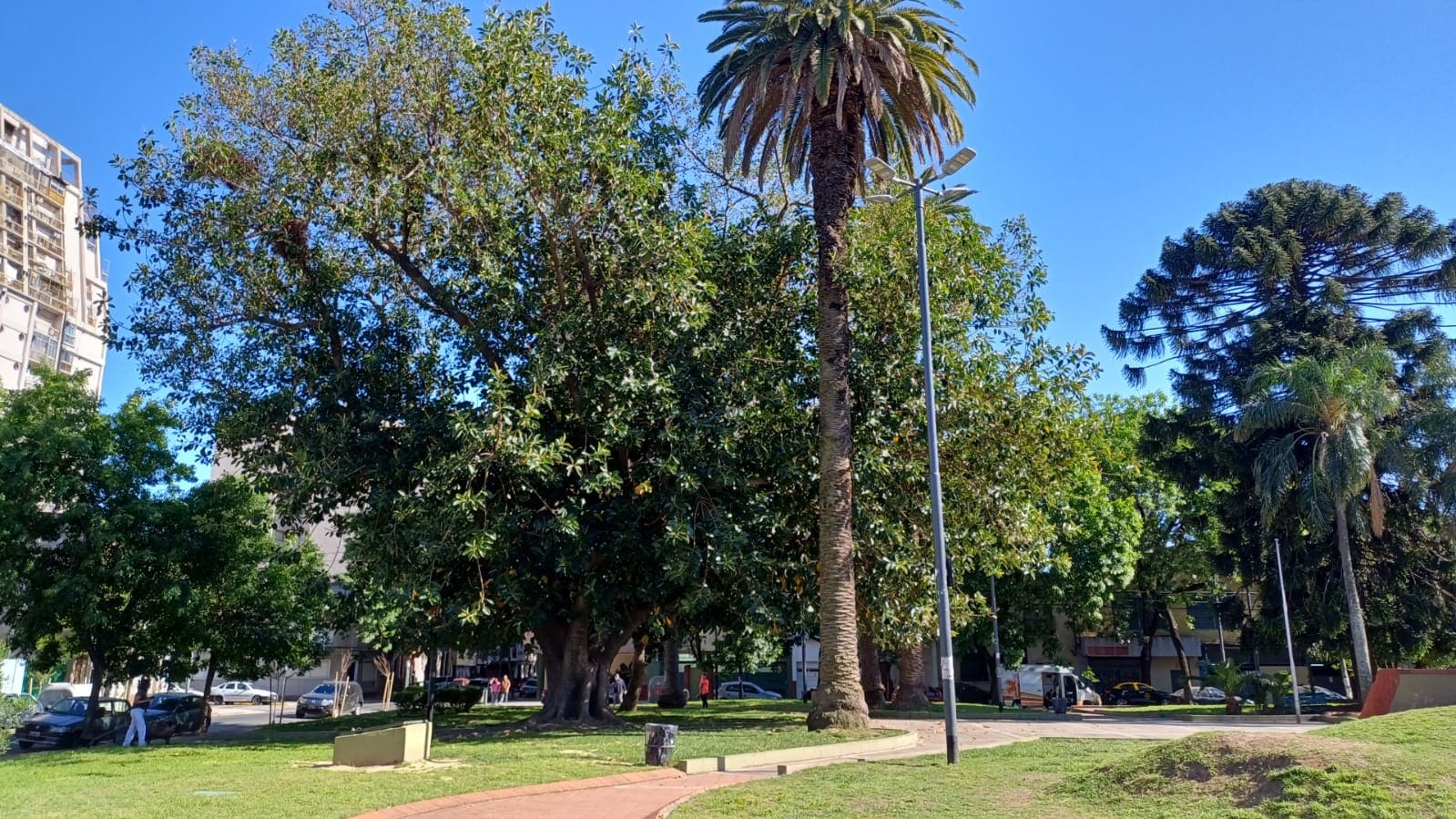Plaza Coronel Ramón L. Falcón