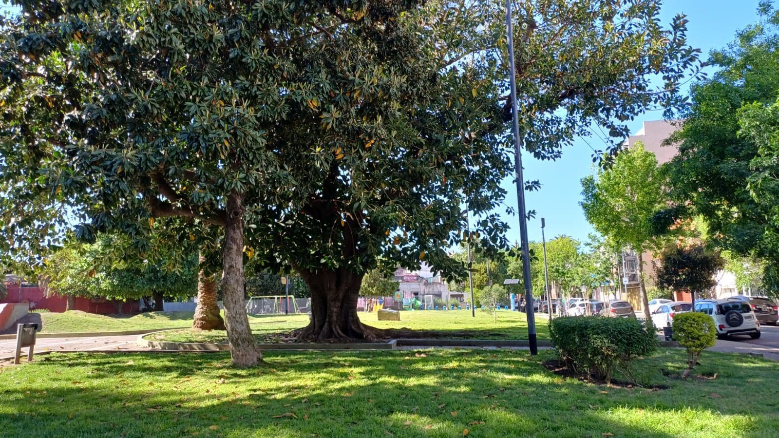 Plaza Coronel Ramón L. Falcón