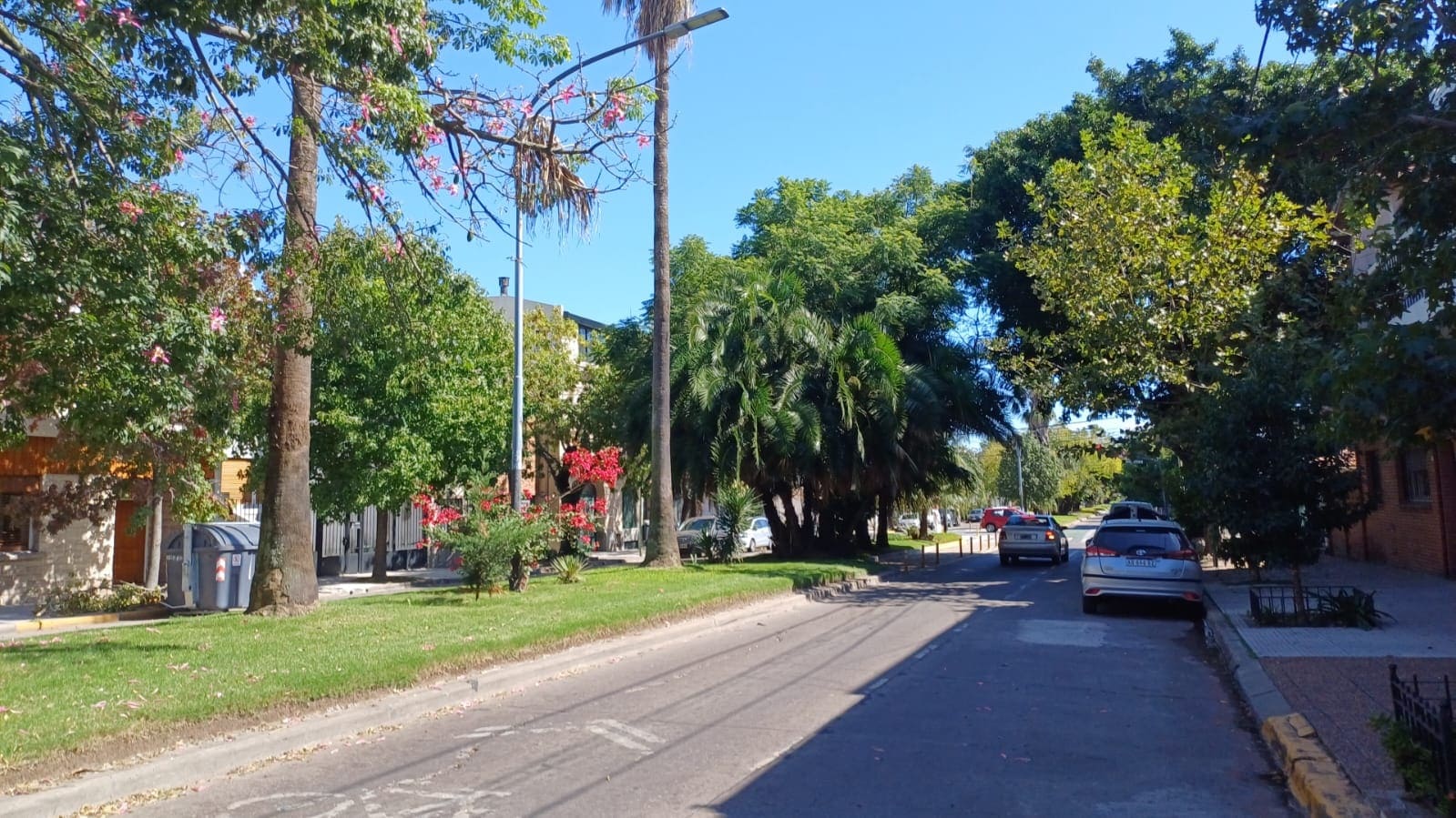 Paseo del Ballet Nacional