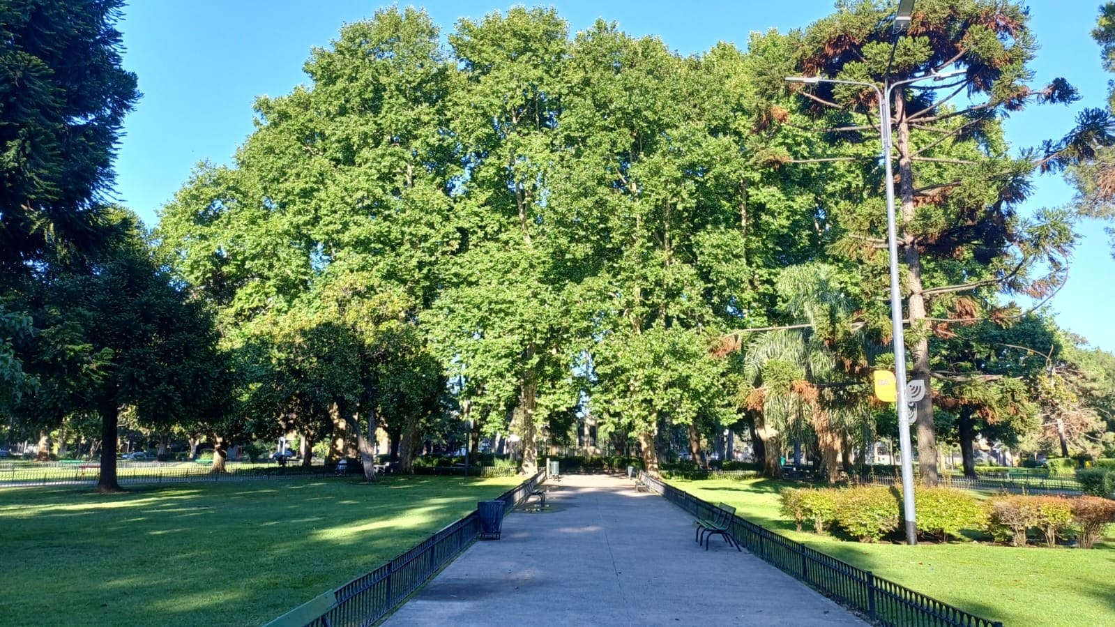 Imagen de galería 1