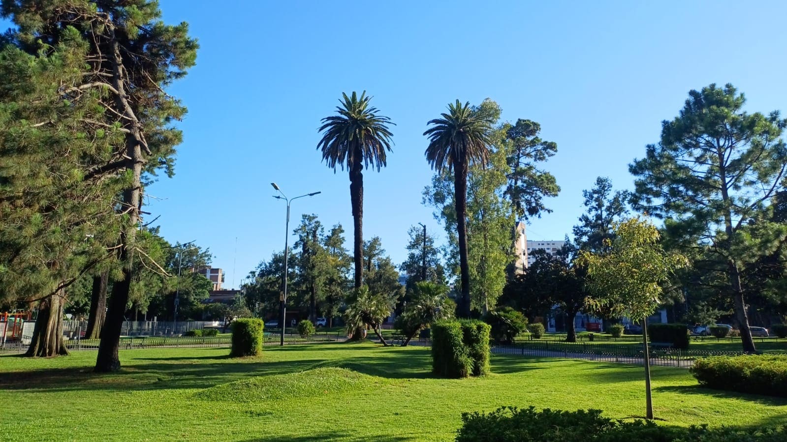 Imagen de galería 1