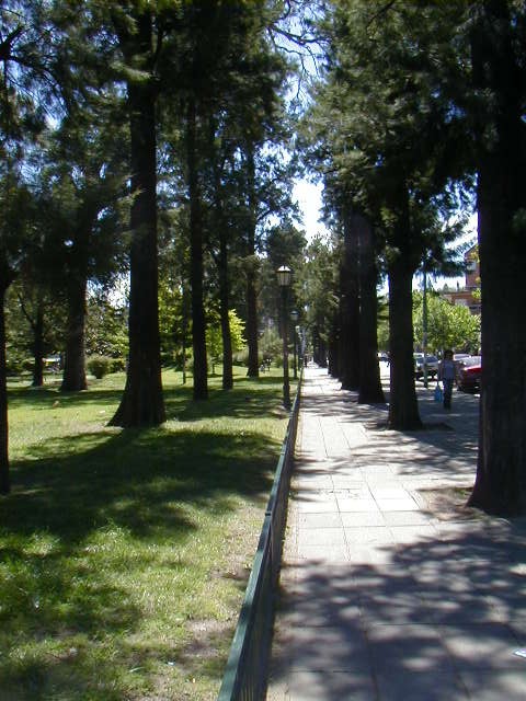 Plaza Arenales