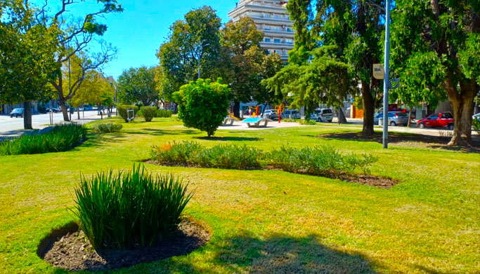 El Maestro - Ravignani