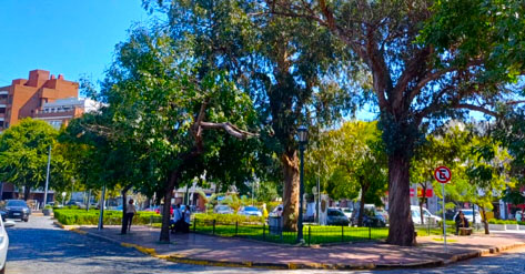 Regimiento 10 de Caballería