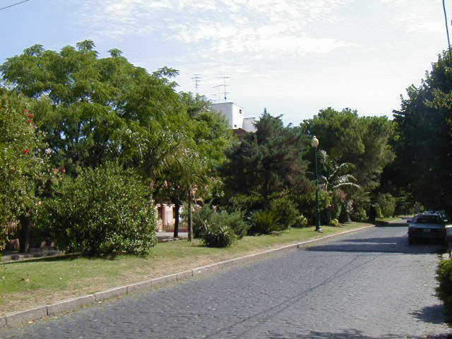 Cantero Central Paseo de las Artes Latinoamericanas