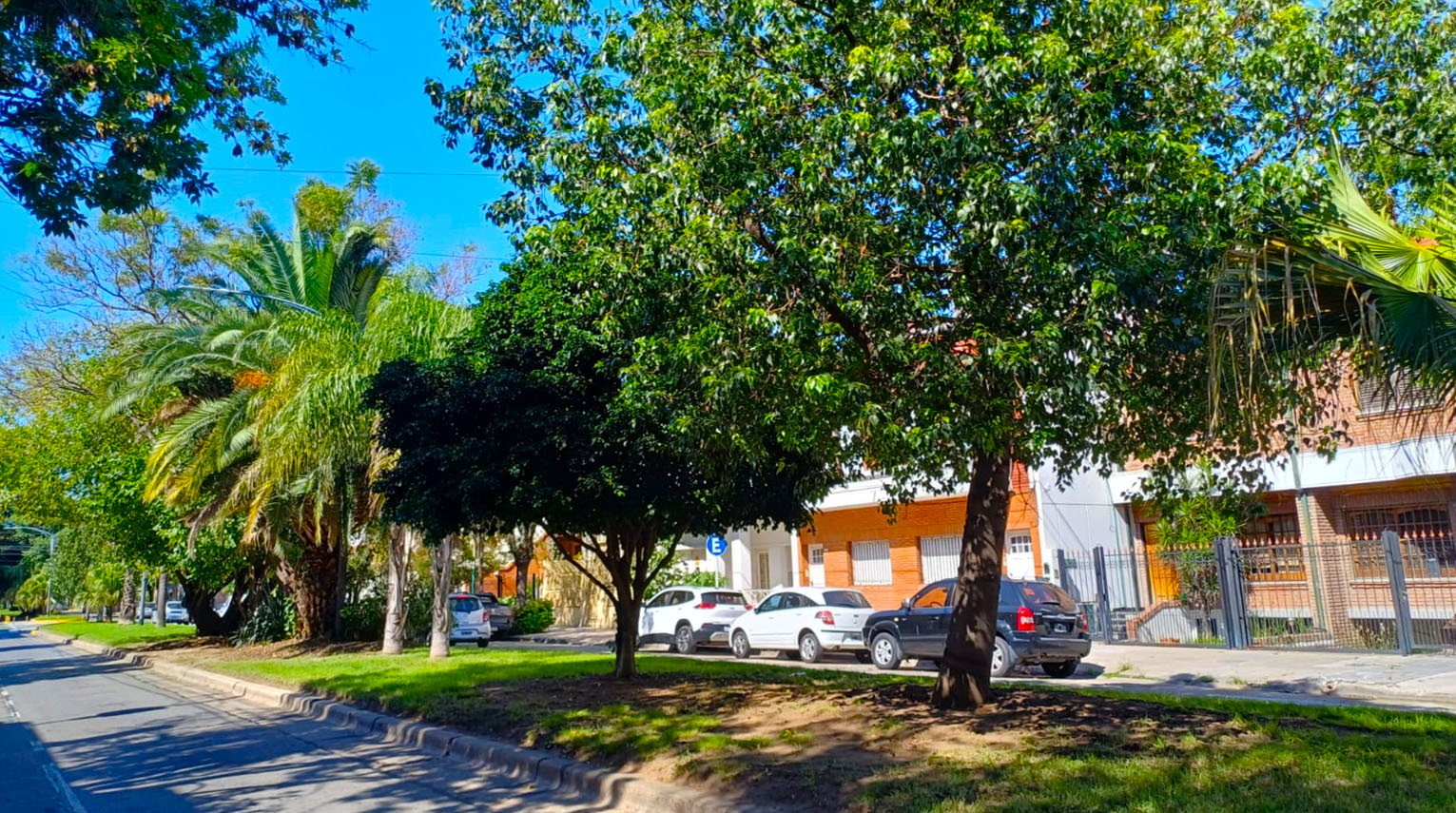 Cantero Central María Ruanova