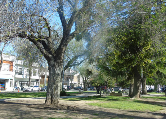 Plaza Alberto Vacarezza