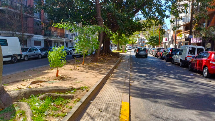 Cantero La Historia Oficial