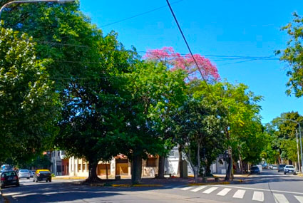 Plazoleta Hermanas A. Domon y L. Duquet