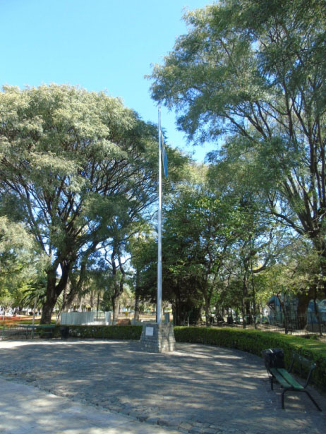 Homenaje a la Bandera