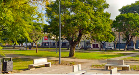 Cantero Ernesto Che Guevara