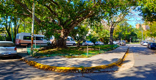 Capitán Domingo Alejo Millán