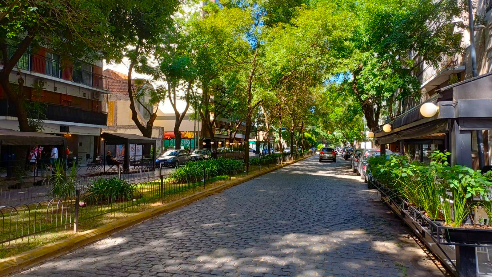 Descripción de la imagen