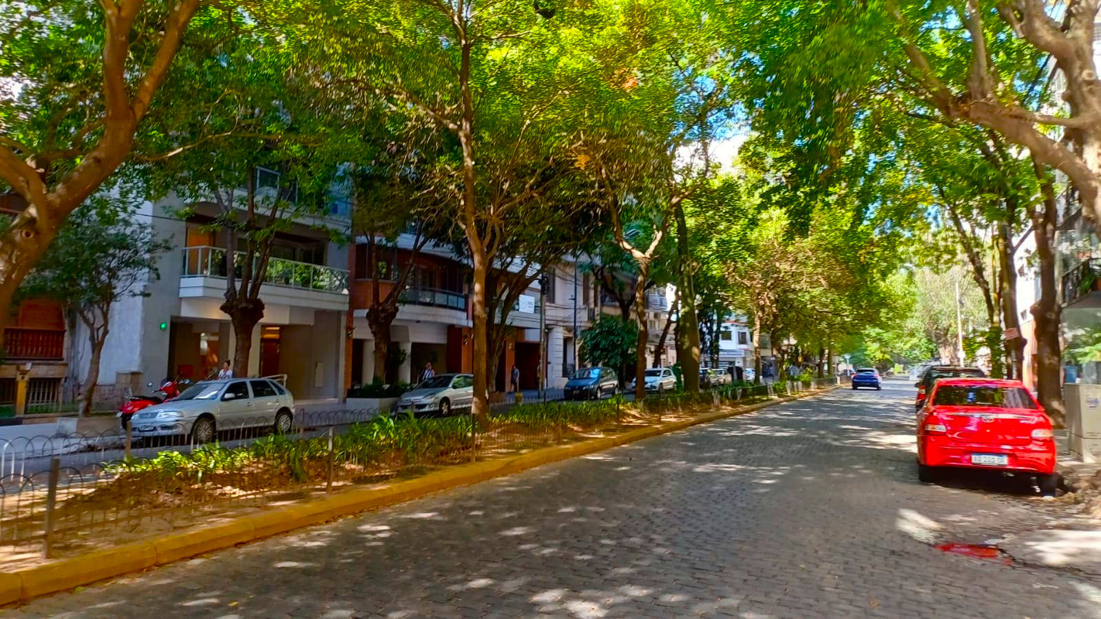 Descripción de la imagen