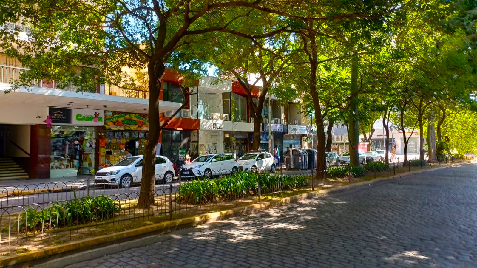 Descripción de la imagen