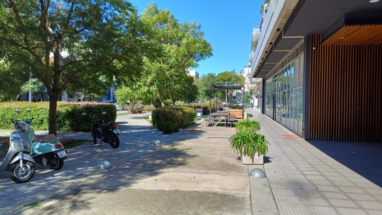 Descripción de la imagen