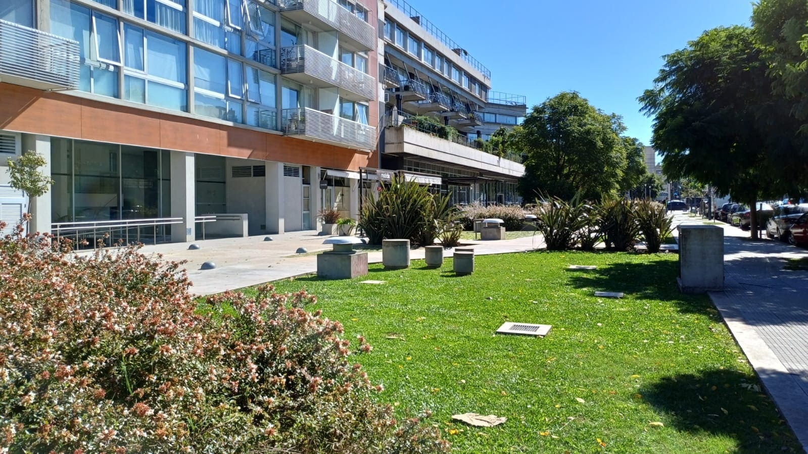 Descripción de la imagen